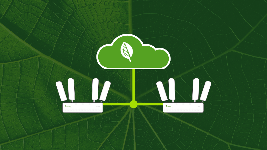 &nbsp;Illustration showing a leaf veining into a multi-path network diagram, representing resilience and redundancy.
